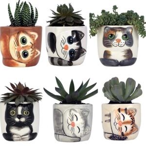 Window Garden Cute Cat Planter Pot - 6 Mini 2.5” Succulent Kitty Pots